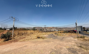 TERRENO EN RENTA A PIE DE CARRETERA ZAPOTLANEJO, TONALÁ, JALISCO