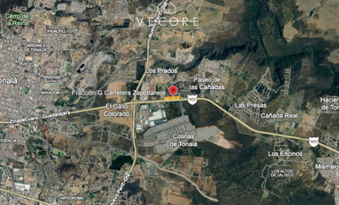 TERRENO EN RENTA A PIE DE CARRETERA ZAPOTLANEJO, TONALÁ, JALISCO