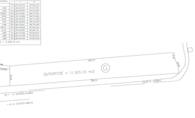 TERRENO EN RENTA A PIE DE CARRETERA ZAPOTLANEJO, TONALÁ, JALISCO