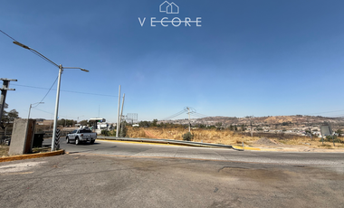 TERRENO EN RENTA A PIE DE CARRETERA ZAPOTLANEJO, TONALÁ, JALISCO