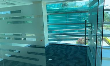 RENTA LOCAL CANCUN PLAZA ATRIUM