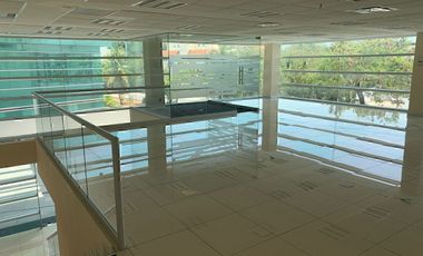 RENTA LOCAL CANCUN PLAZA ATRIUM