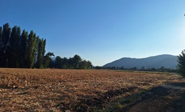 Gran Terreno para Inmobiliaria o Inversionista , Malloa