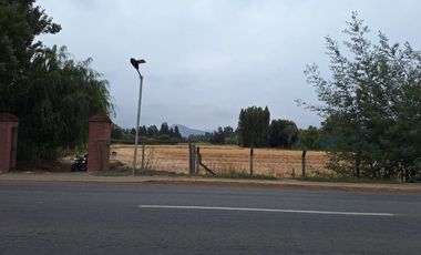 Gran Terreno para Inmobiliaria o Inversionista , Malloa