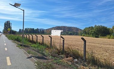 Gran Terreno para Inmobiliaria o Inversionista , Malloa