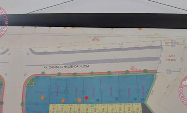 Terreno Comercial en Renta por Loretta residencial