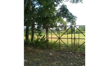 LA CHORRERA / ARENOSA / 12 HECTAREAS / FINCA CON CABAÑA