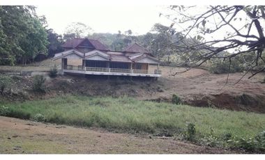LA CHORRERA / ARENOSA / 12 HECTAREAS / FINCA CON CABAÑA