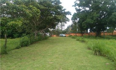 LA CHORRERA / ARENOSA / 12 HECTAREAS / FINCA CON CABAÑA