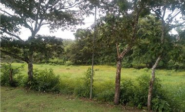 LA CHORRERA / ARENOSA / 12 HECTAREAS / FINCA CON CABAÑA