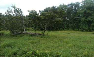LA CHORRERA / ARENOSA / 12 HECTAREAS / FINCA CON CABAÑA