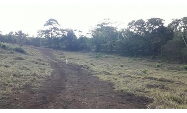 LA CHORRERA / ARENOSA / 12 HECTAREAS / FINCA CON CABAÑA