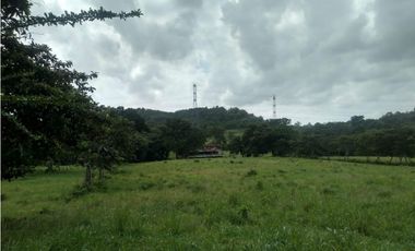 LA CHORRERA / ARENOSA / 12 HECTAREAS / FINCA CON CABAÑA