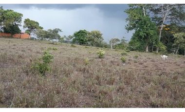 LA CHORRERA / ARENOSA / 12 HECTAREAS / FINCA CON CABAÑA