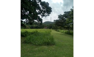 LA CHORRERA / ARENOSA / 12 HECTAREAS / FINCA CON CABAÑA
