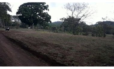LA CHORRERA / ARENOSA / 12 HECTAREAS / FINCA CON CABAÑA