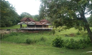 LA CHORRERA / ARENOSA / 12 HECTAREAS / FINCA CON CABAÑA
