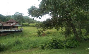 LA CHORRERA / ARENOSA / 12 HECTAREAS / FINCA CON CABAÑA