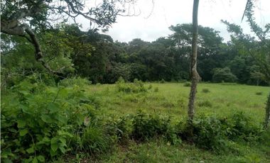 LA CHORRERA / ARENOSA / 12 HECTAREAS / FINCA CON CABAÑA