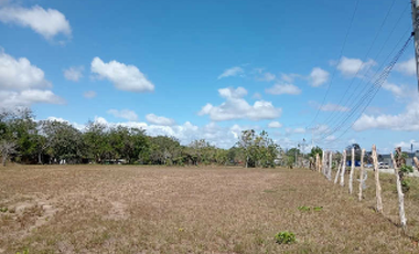 PENONOME / TERRENO COMERCIAL / 13473M2 / SOBRE VIA INTERAMERICANA