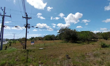 PENONOME / TERRENO COMERCIAL / 13473M2 / SOBRE VIA INTERAMERICANA