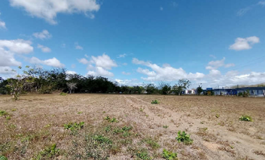 PENONOME / TERRENO COMERCIAL / 13473M2 / SOBRE VIA INTERAMERICANA