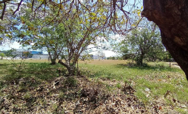 PENONOME / TERRENO COMERCIAL / 13473M2 / SOBRE VIA INTERAMERICANA