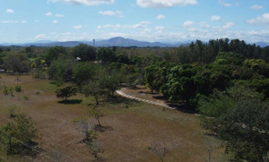 PENONOME / TERRENO COMERCIAL / 13473M2 / SOBRE VIA INTERAMERICANA