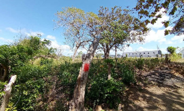 PENONOME / TERRENO COMERCIAL / 13473M2 / SOBRE VIA INTERAMERICANA