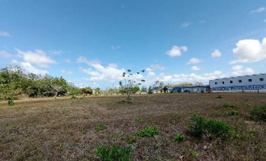 PENONOME / TERRENO COMERCIAL / 13473M2 / SOBRE VIA INTERAMERICANA