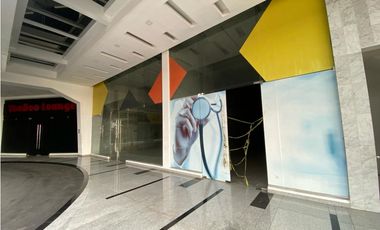 LOCAL COMERCIAL / VIA BRASIL / CITY MALL  / PLANTA BAJA / 217M