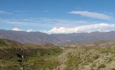 EXCELENTE TERRENO EN POTRERILLOS SOBRE RUTA 82