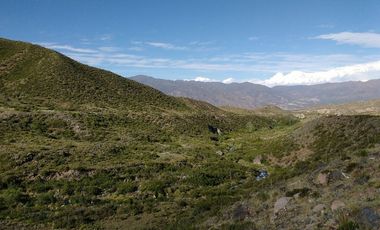 EXCELENTE TERRENO EN POTRERILLOS SOBRE RUTA 82