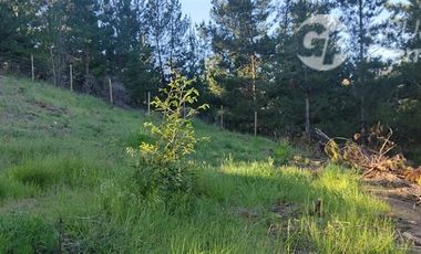 Sitio en Venta en Hacienda Bucalemu, Paredones