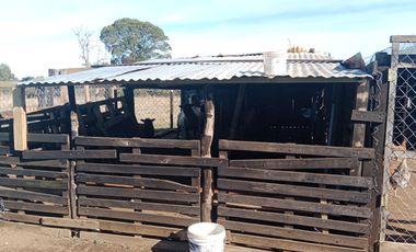 LIQUIDAMOS CASA EN PARCELACION PRIVADA 5MIL M2 VILLARRICA