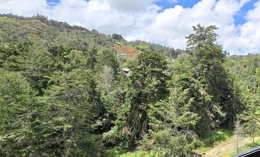 HERMOSO APARTAMENTO EN RENTA CERCA AL AEROPUERTO