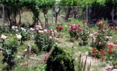 Finca en venta - 2 Dormitorios 1 Baño - 45.000mts2 - Mendoza