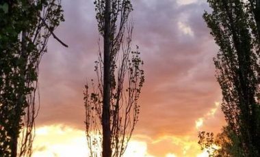 Finca en venta - 2 Dormitorios 1 Baño - 45.000mts2 - Mendoza
