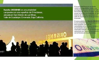 Rancho Origenes en San Antonio de las MInas en VENTA