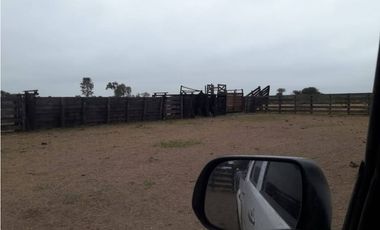 CAMPO EN VENTA EN CHACO 1250 HECTAREAS MIXTO FINANCIACION