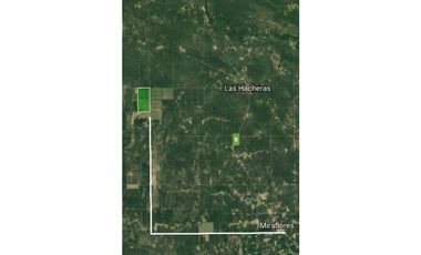 CAMPO EN VENTA EN CHACO 1250 HECTAREAS MIXTO FINANCIACION