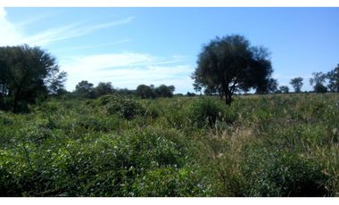 CAMPO EN VENTA EN CHACO 1250 HECTAREAS MIXTO FINANCIACION