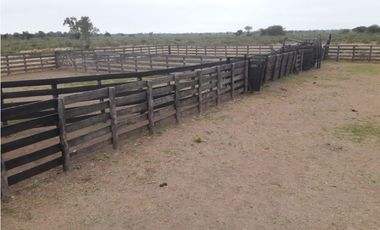 CAMPO EN VENTA EN CHACO 1250 HECTAREAS MIXTO FINANCIACION