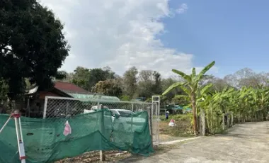 Land for sale in San Sai, Chiang Rai