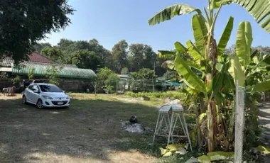 Land for sale in San Sai, Chiang Rai