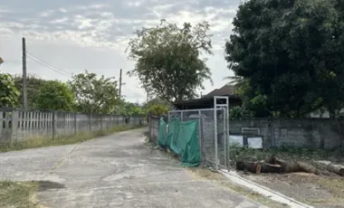 Land for sale in San Sai, Chiang Rai