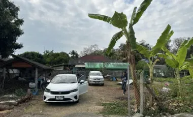 Land for sale in San Sai, Chiang Rai