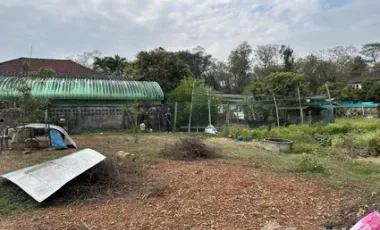 Land for sale in San Sai, Chiang Rai