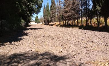 Amplio Terreno en Venta Los Arenales, Jesús María, Ags.