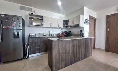 Departamento en Alquiler Amoblado- Punta Blanca-3 dorm